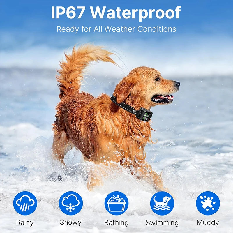 Petedu Pet GPS Wireless Fence and Barking Stopper Training Collar