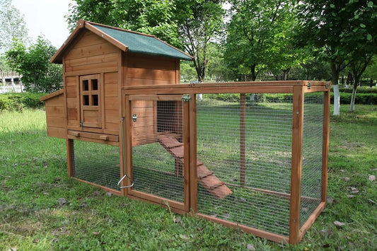 Outdoor Wooden Chicken Coop With Weather Resistant Roof