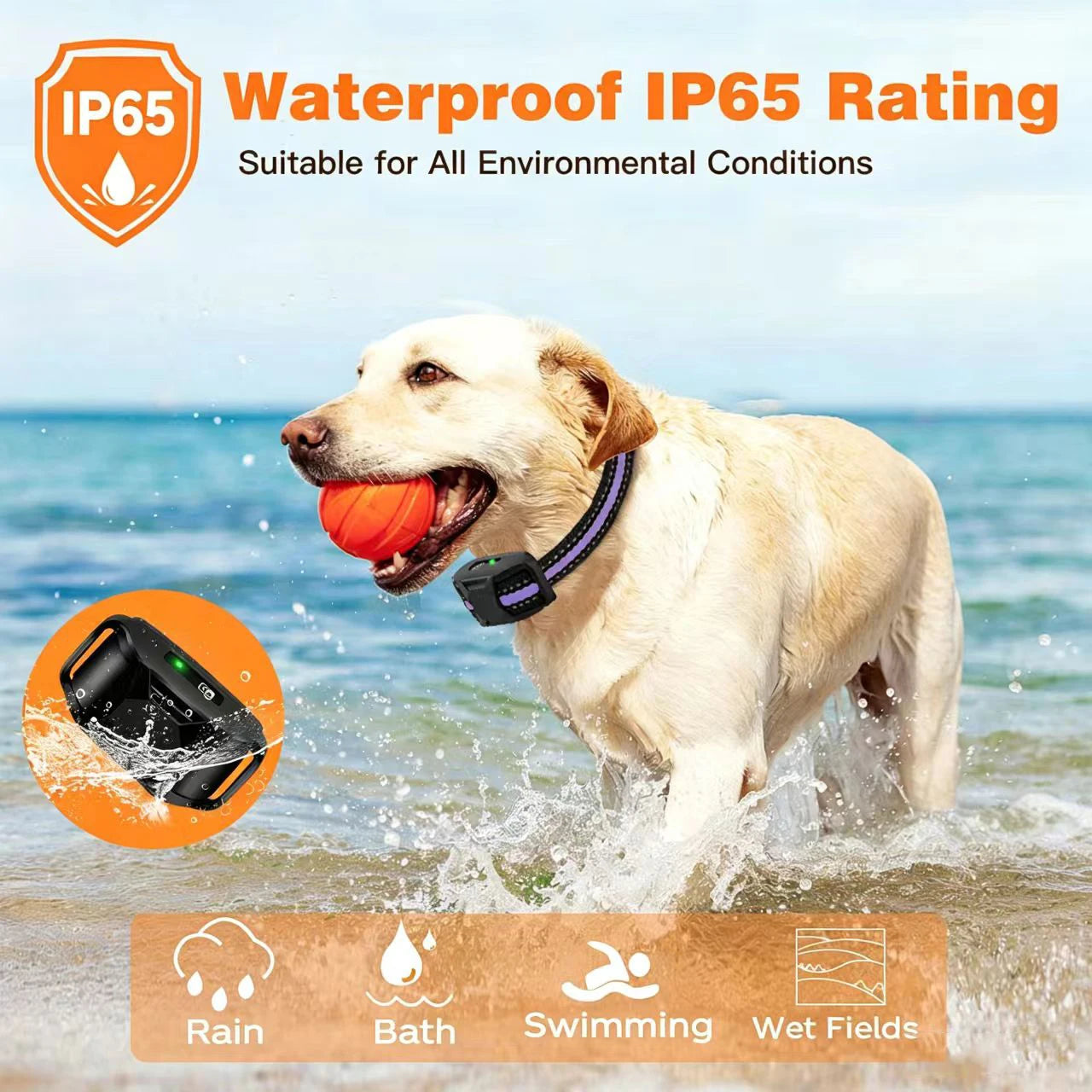 WXRPET 3300Ft Electric Dog Training Collar Remote Beep Vibration