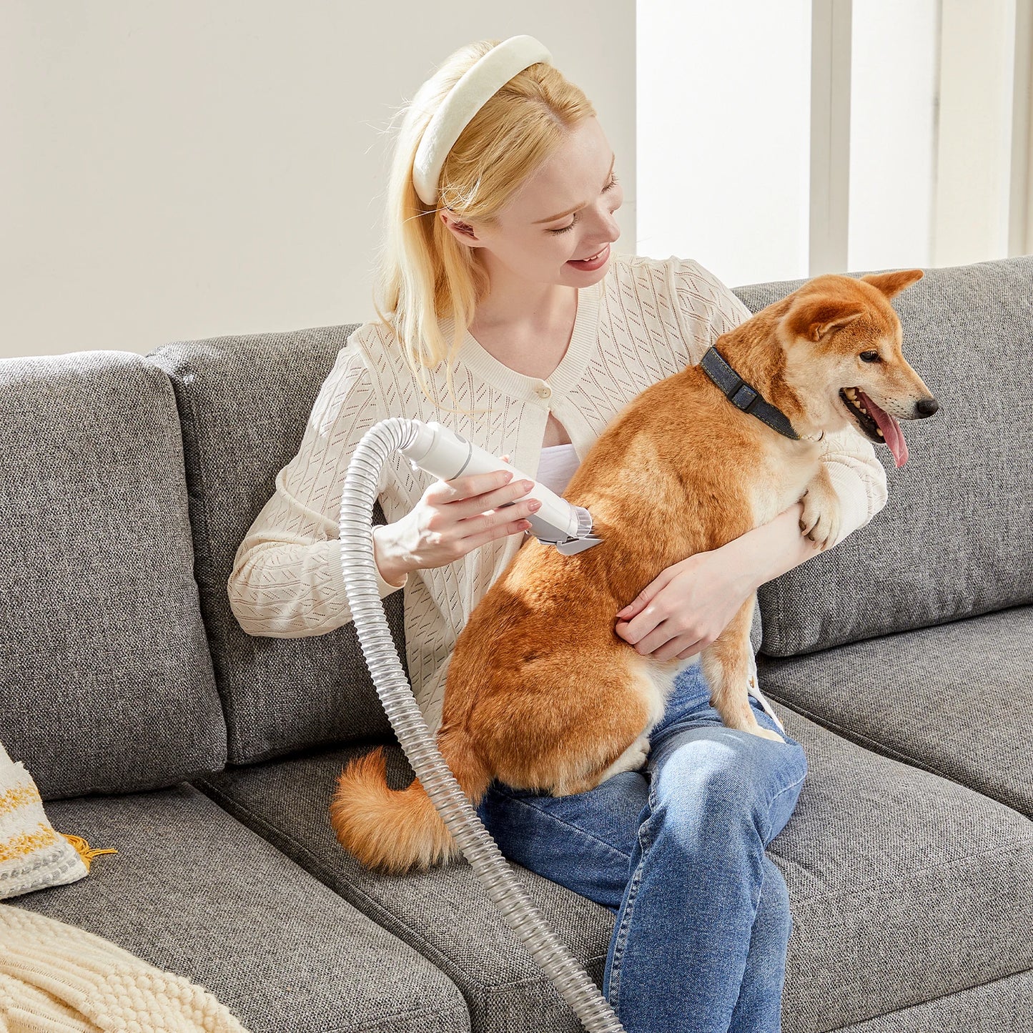 Professional Pet Grooming Vacuum Kit With Cordless Low Noise