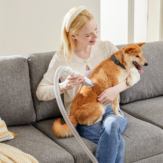 Professional Pet Grooming Vacuum Kit With Cordless Low Noise