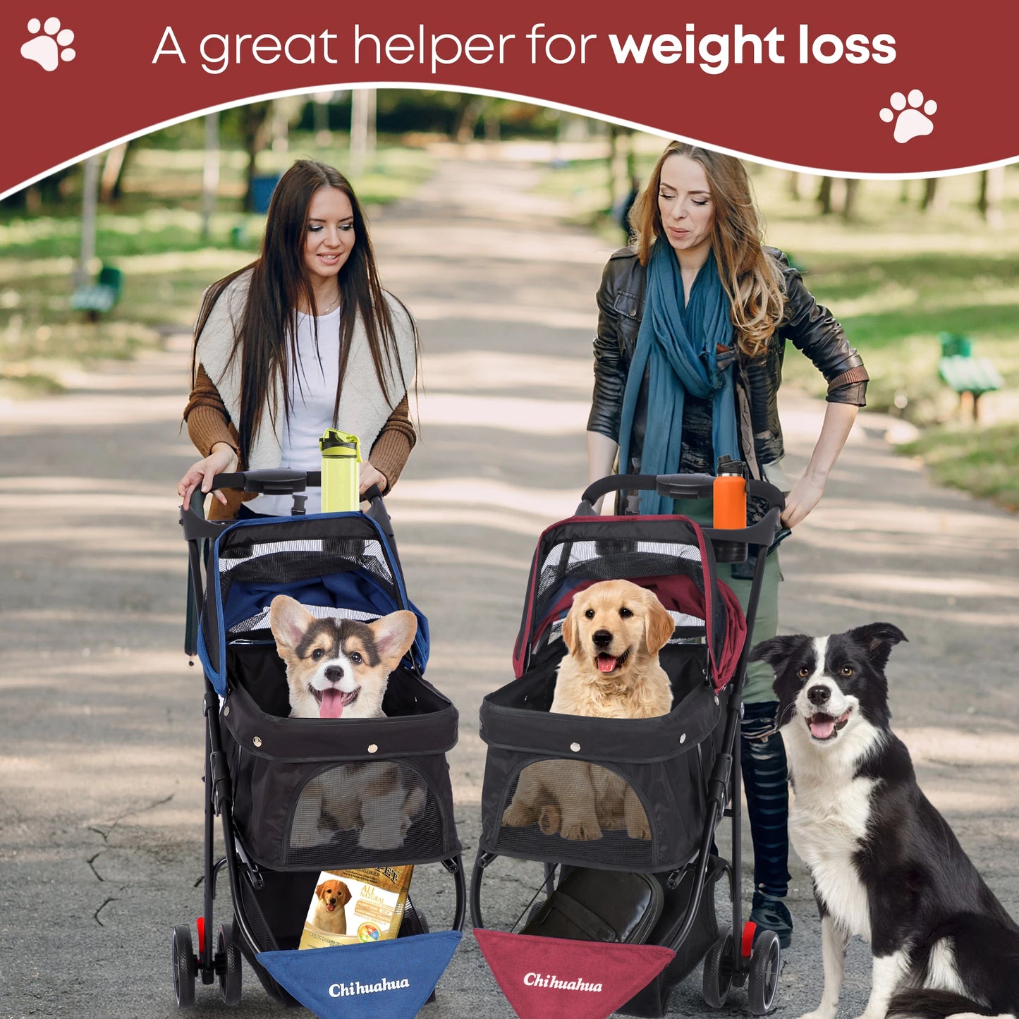 CHIHUAHUA Pet Stroller for Small to Medium Cats and Dogs
