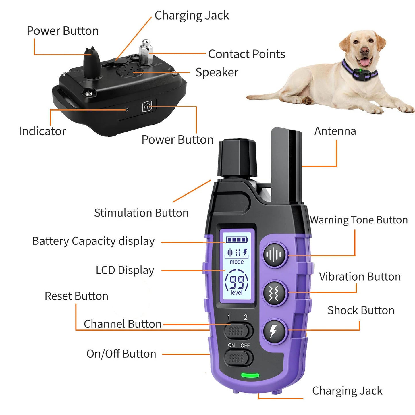 WXRPET 3300Ft Electric Dog Training Collar Remote Beep Vibration