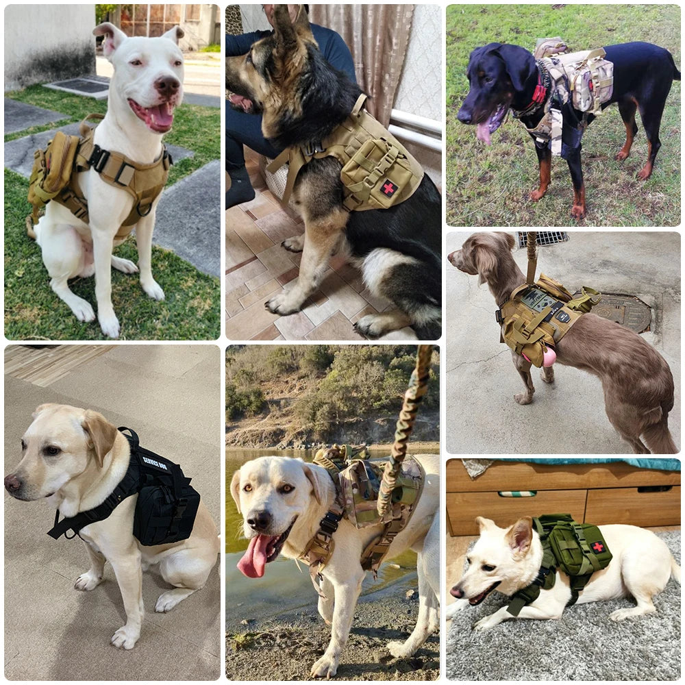 Tactical Dog Harness And Leash Set For Large Military Dogs