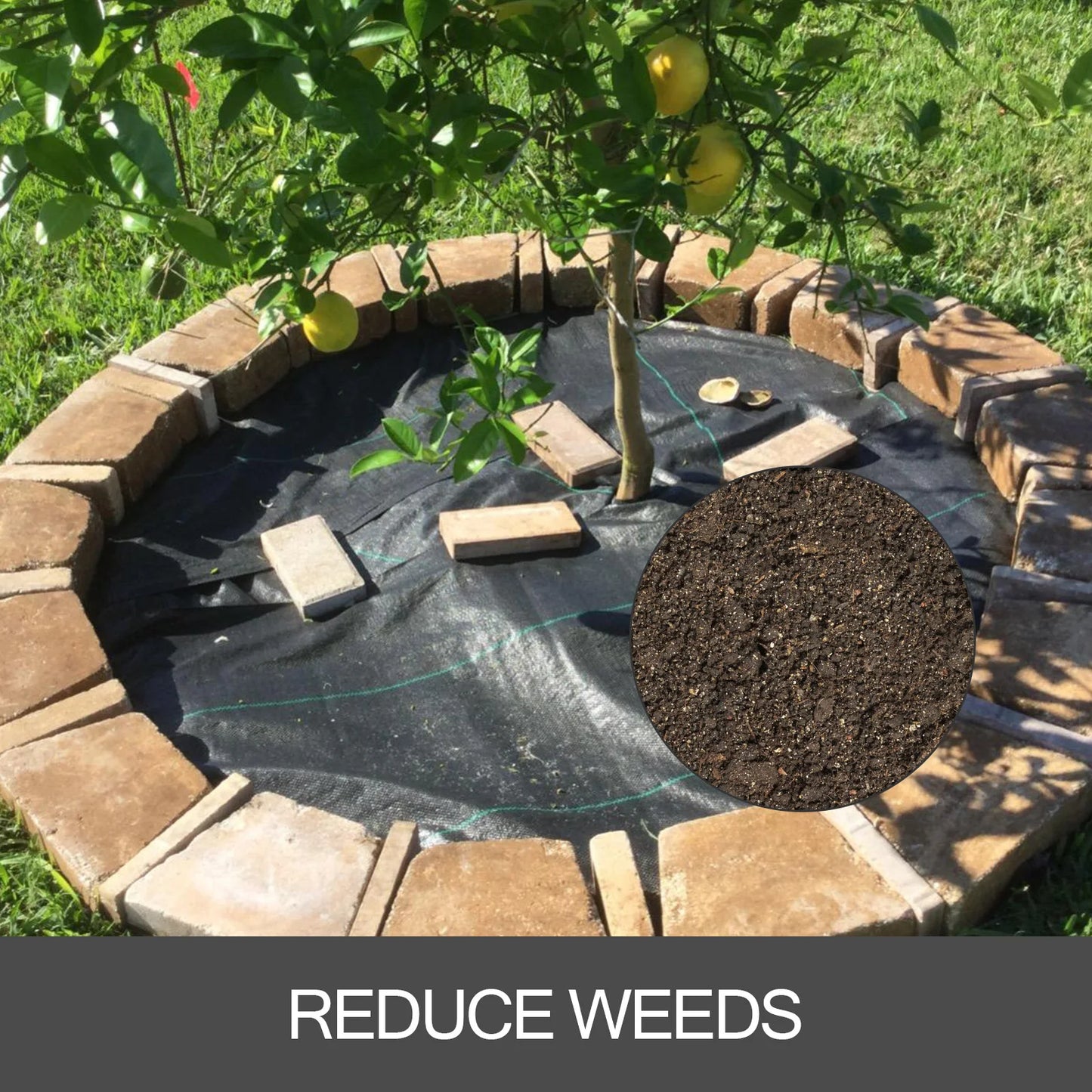 SucceBuy Heavy Duty Woven Landscape Fabric For Weed Control
